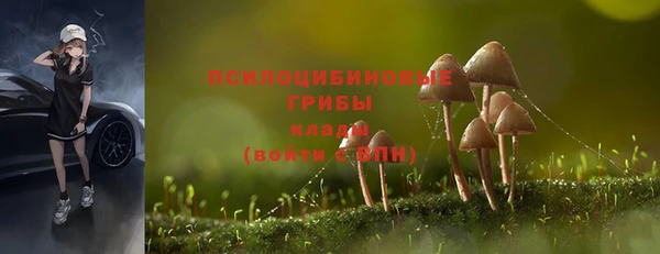 мдпв Бронницы