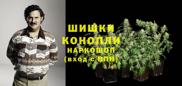 мдпв Бронницы