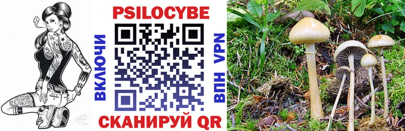 Галлюциногенные грибы Psilocybine cubensis Микунь