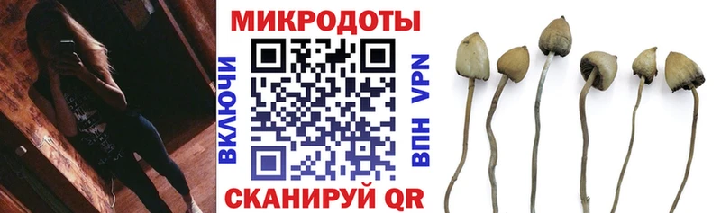 кракен ONION  Микунь  Псилоцибиновые грибы Magic Shrooms 
