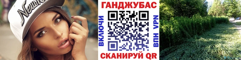 Шишки марихуана сатива  купить наркотики сайты  Микунь 